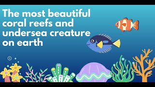 4K The most beautiful coral reefs and undersea creature on earth [upl. by Persas]