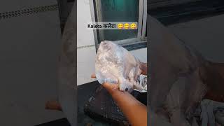 kaleta कलेटा पापलेट😋😋😋shortsfeed youtubeshorts koligeet kolisong [upl. by Azal]