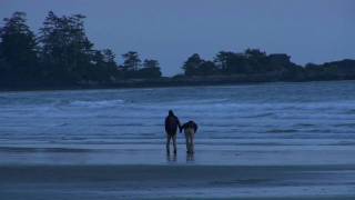 Storm Watching at the Wickaninnish Inn Tofino  British Columbia Canada [upl. by Engenia972]