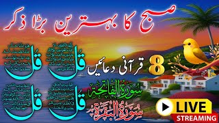 Morning Wazifa  4 Quls । ayatul kursi  Surah Fatiha  Darood Tanjeena [upl. by Muir]