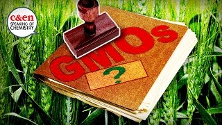 How GMOs are regulated… or not—Speaking of Chemistry [upl. by Anelehs722]