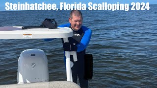 Steinhatchee Florida Scalloping 2024 [upl. by Olegnalehcim]