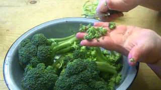 How to Make THE BEST Broccoli Salad [upl. by Mahon861]