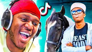 Reacting To KSI TikToks 2 [upl. by Ysdnyl418]