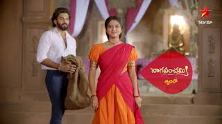 Naga Panchami  Promo  Star Maa Serials  Starting from Mar 27th MonSat at 8 PM Only on Star Maa [upl. by Yssep]