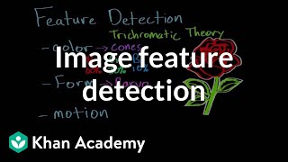 Feature detection and parallel processing  Processing the Environment  MCAT  Khan Academy [upl. by Nyvets287]