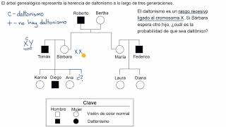 Árbol genealógico para determinar la probabilidad de presentar un rasgo recesivo ligado al sexo [upl. by Edie]