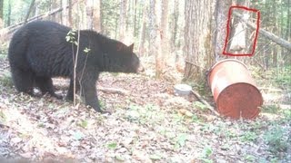 Chasse à lours  La préparation [upl. by Tenney33]