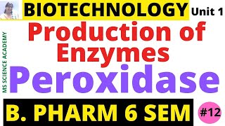 PeroxidaseProduction of EnzymesBiotechnologyUnit 1 B Pharmacy 6 SemLect12 [upl. by Norton]