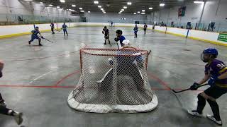 HTBHL  The Spitting Llamas vs Ottawa Blueberry Bulldogs  June 19 2024 [upl. by Homer]