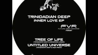 Trinidadian Deep  Mind Channel [upl. by Obaza]