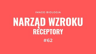 Narząd wzroku Receptory [upl. by Aihc]