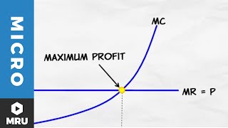 Maximizing Profit Under Competition [upl. by Affrica]