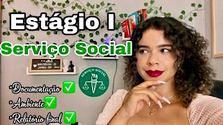 eSocial Web – Aprenda como consultar [upl. by Calla]