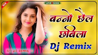 Meri Banno Chhail Chhabili Main To Nachungi Remix 🔥 Hard Bass Remix 🔥Banno Chail Chabili Dj Remix [upl. by Guarino]