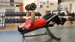 Decline Dumbbell Bench Press  Chest Exercise [upl. by Lawry]