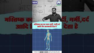 आइये जानते हैं मस्तिष्क के भाग और उनके कार्य l khansir khanglobalstudies ytshorts science brain [upl. by Castera]