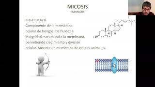 CAFH M3  Tema 7 Antimicóticos  Antiparasitarios [upl. by Eiramaneet]