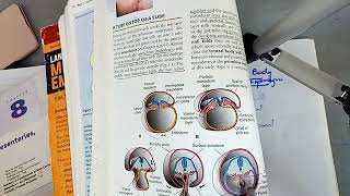 BODY CAVITIES and DIAPHRAGM development in easiest way part 1 [upl. by Obara]