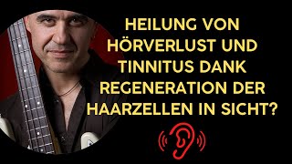 Heilung von Hörverlust und Tinnitus dank Regeneration der Haarzellen in Sicht [upl. by Iemaj697]