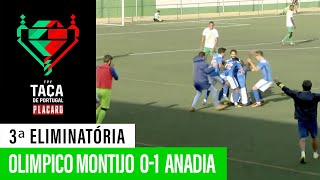 Taça de Portugal Placard Olimpico Montijo 0  1 Anadia FC [upl. by Farrel]