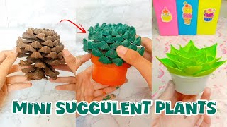 Rustic Charm DIY Mini Succulent Plants from Pine Cone [upl. by Ralaigh]