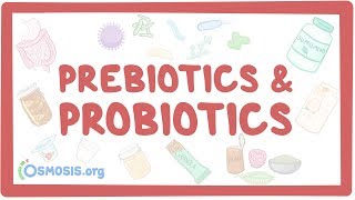 Prebiotics amp probiotics [upl. by Stauder]