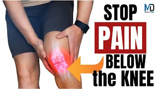 Heal Patellar Tendinitis Fast  Jumpers Knee Solution [upl. by Beulah]