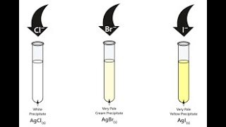 4 Identification of Acid Radicals  Anion [upl. by Orabel288]