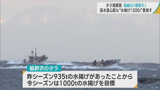 「タラ漁」解禁 網の仕掛け場所を取り合う伝統の「場取り」 高水温懸念も水揚げ1000トンを目指す／青森・むつ市脇野沢 [upl. by Wemolohtrab194]