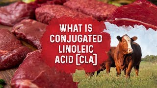 What Is Conjugated Linoleic Acid – Dr Berg [upl. by Peery]