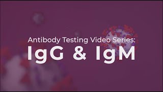 Antibody Testing IgG and IgM explained [upl. by Joashus]