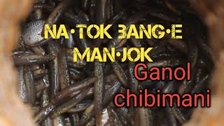 Ganol Chibimao Na•tok bang•e man•a [upl. by Meggi412]