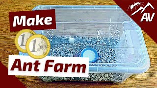 How to Build an Ant Farm  Budget Formicarium  Fast Cheap amp Easy [upl. by Zerelda]