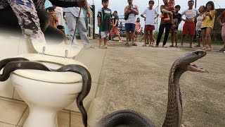 LUMABAS ANG MALAKING COBRA SA INODORO [upl. by Fiona]