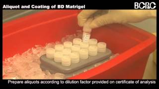 Aliquot and Coating of BD Matrigelwmv [upl. by Dinsmore647]