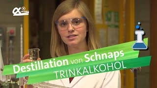 Destillation von Schnaps  alpha Lernen erklärt Chemie [upl. by Immot]