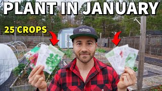 25 Veggies You Can Plant In January RIGHT NOW [upl. by Eurd724]