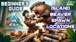 Island Beaver Spawn Locations  Beginners Guide [upl. by Ahsrop842]