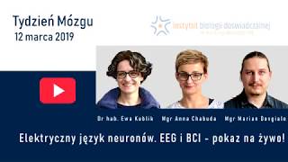 Elektryczny język neuronów EEG i BCI  pokaz na żywo [upl. by Sulamith]