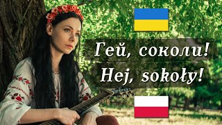 🇺🇦 🇵🇱 Гей соколи  Hej sokoły – UkrainianPolish folk song [upl. by Ecirpac551]