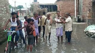 बिना वारिस सड़क पे चलना मुश्किल सा बनॉ हुआ हैँइस गावँ के बच्चें बच्ची स्कूल भी कैसे जातें होंगे [upl. by Battiste]