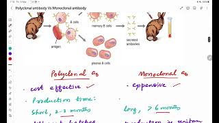 Polyclonal Vs Monoclonal antibodies [upl. by Hedwiga623]