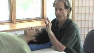 Practitioner Skills for Subtle Energy Therapies [upl. by Hanikehs]