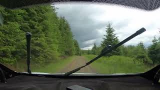 Kielder Forest Rally 15 June 2024 Falstone 2 SS4 [upl. by Magnolia]