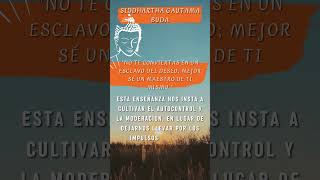 🙏Descubre la Paz Interior Enseñanzas de Buda para la Serenidad 🧘♀️  BUDISMO PARA PRINCIPIANTES 🙏 [upl. by Asseniv]