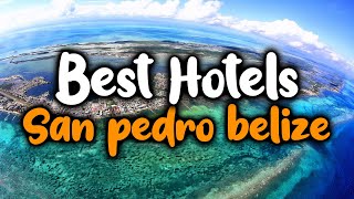 Best Hotels In San Pedro Belize  For Families Couples Work Trips Luxury amp Budget [upl. by Hamian610]