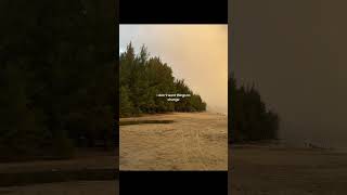 always  daniel caesar slowed reverb  TikTok Version lyrics lyrics4mood shorts [upl. by Llenrrad]