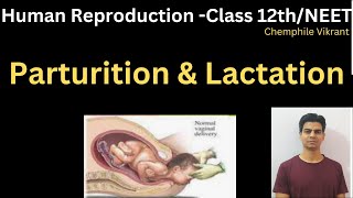 Parturition and Lactation chemphilevikrant [upl. by Zetnod]