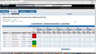 DIBELS Progress Monitoring [upl. by Lehcsreh]